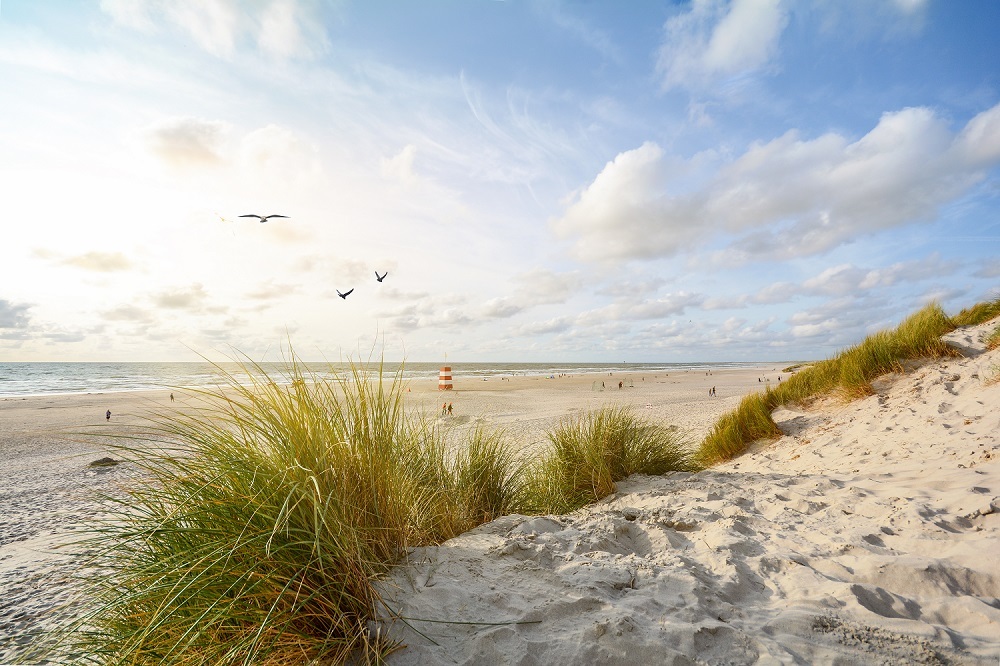 Dänemark_Dünen_Strand